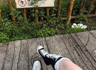 吃瓜本是一种艺术，跟着“51fun”直达顶尖技艺！