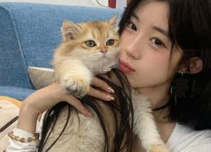 今日吃瓜51：老虎菜挑战赛，ios新手也能翻身做土豪！