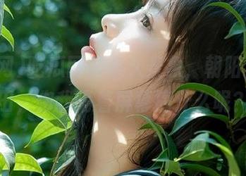 吃瓜网的永久景象，朝阳下的瓜田，你我隔着屏幕搞什么呢？