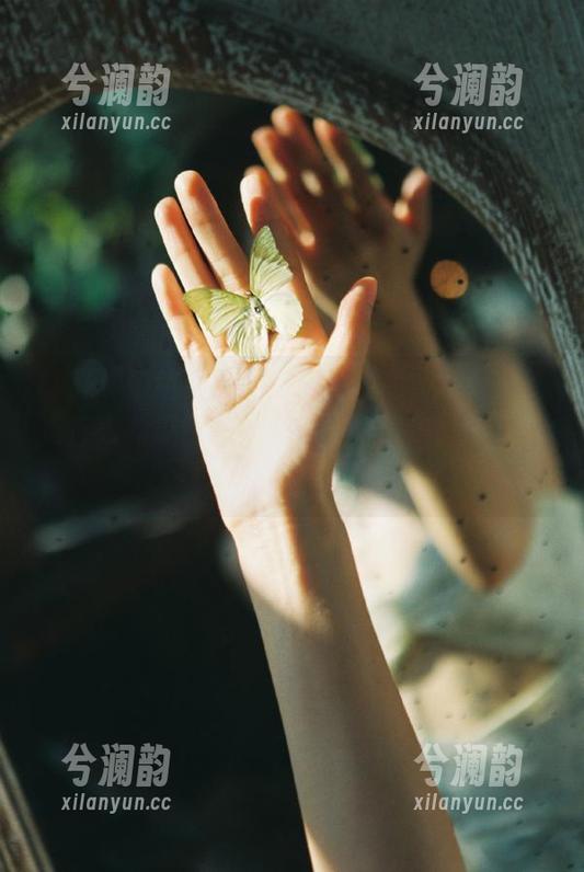 吃瓜网 访问“网站”后的我:不停刷新“在线吃瓜网”,期待更新像追剧一样刺激!