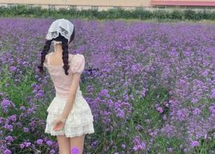 首页的内容都被黑料166su网页版搞得让我无处安放我的目光，咋又来了？
