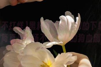 黑料不打烊官网的下载流程，简直是一场不速之客的狗血剧。