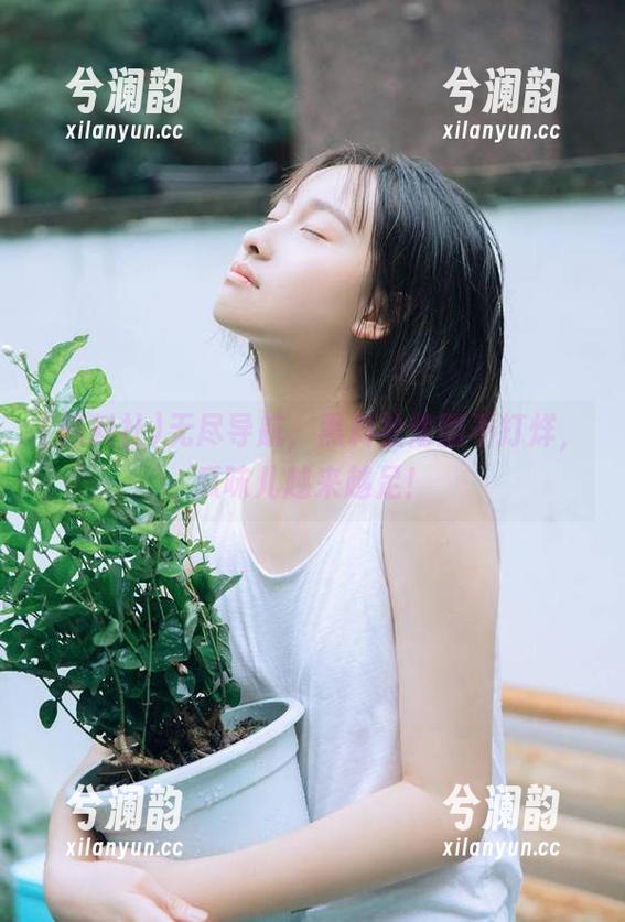 黑料社 无尽导航,黑料社炫酷不打烊,瓜味儿越来越足!